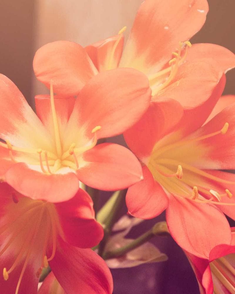 Consultant reviewing documents